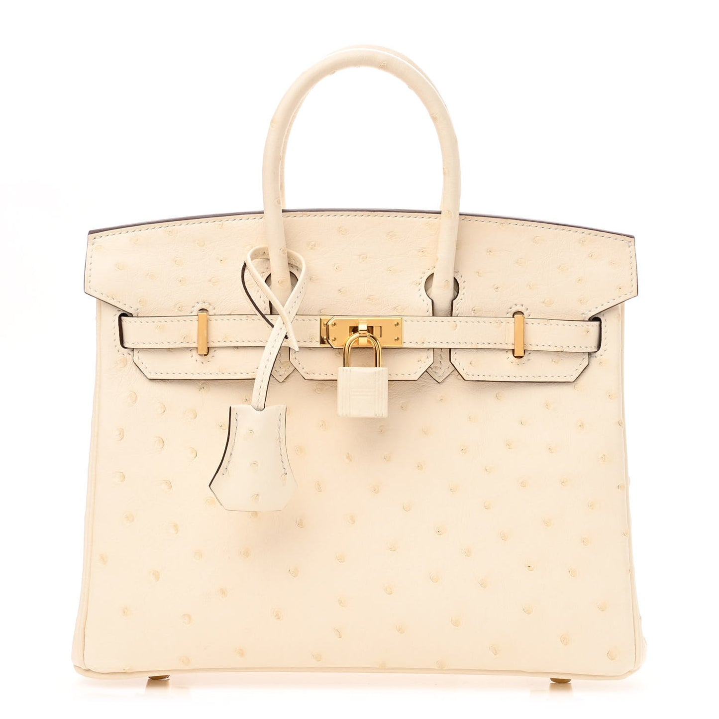Ostrich Birkin 25 Nata
