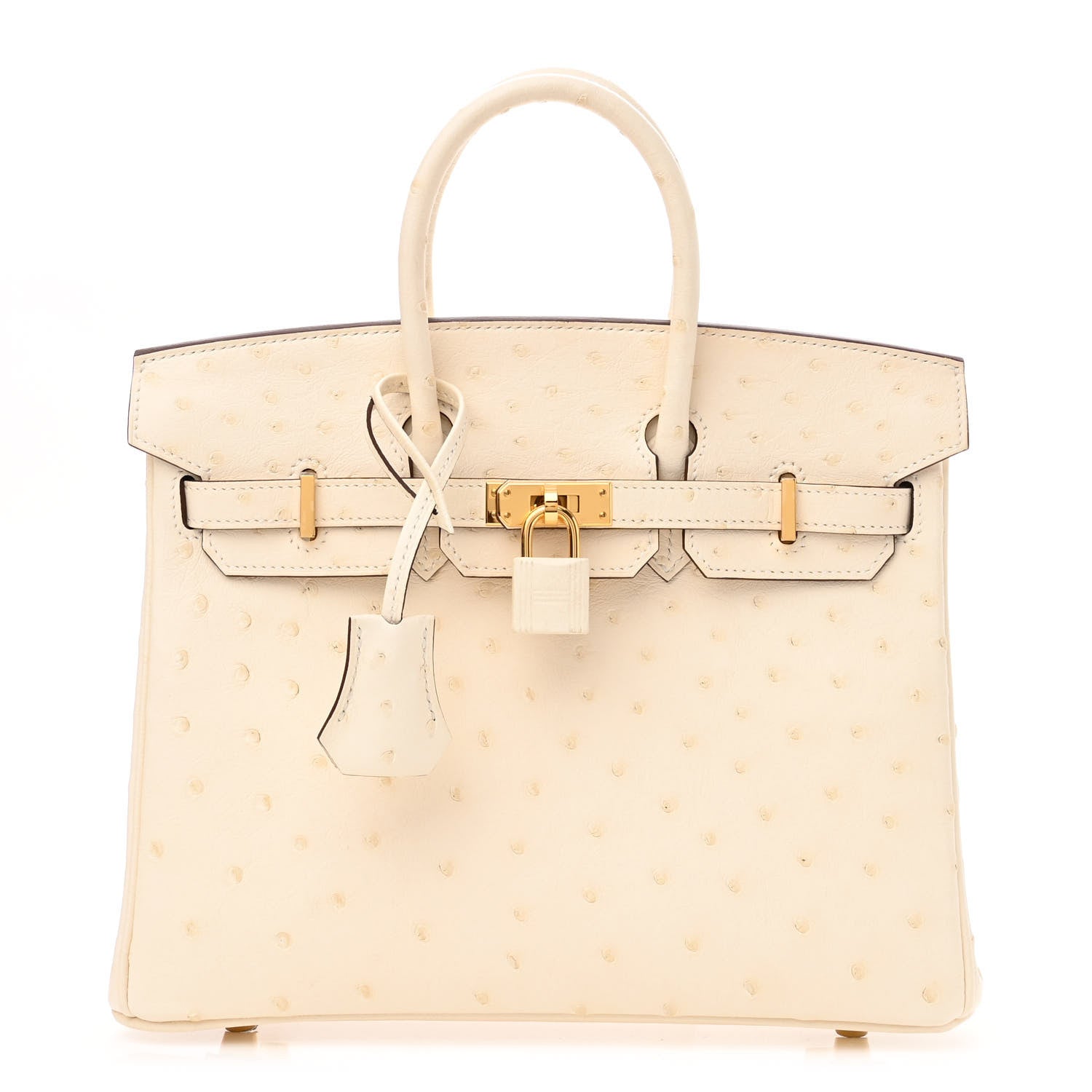 Hermes Ostrich Birkin 25 Nata 1 of 11