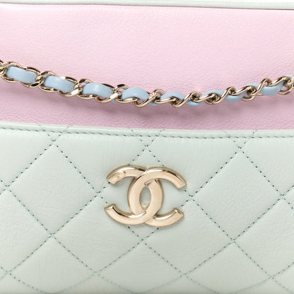 Chanel Goatskin Quilted Tri-Color Small In & Out Camera Case Green Blue Pink 10 of 12