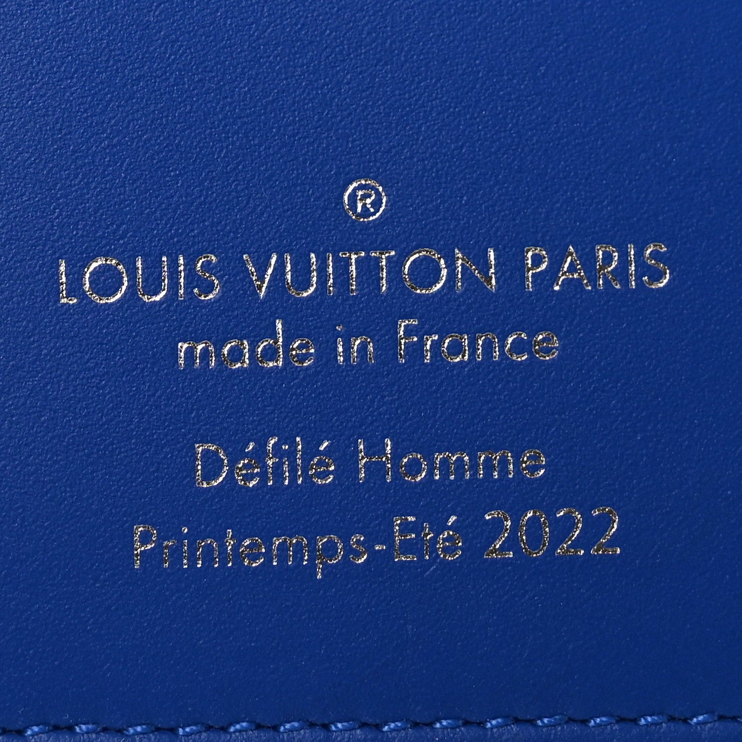 Louis Vuitton Taurillon Illusion Pocket Organizer Bleu Vert 6 of 7