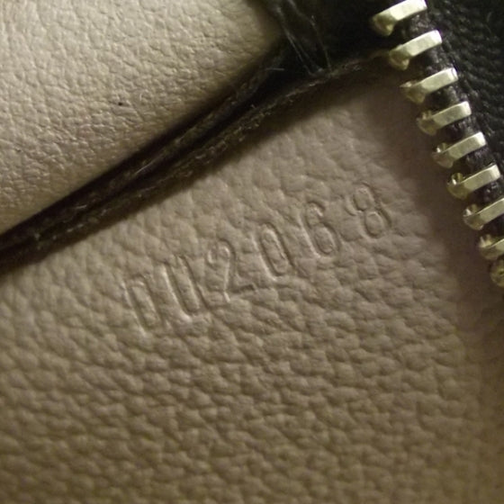Monogram Poche Toilette 19 Bag