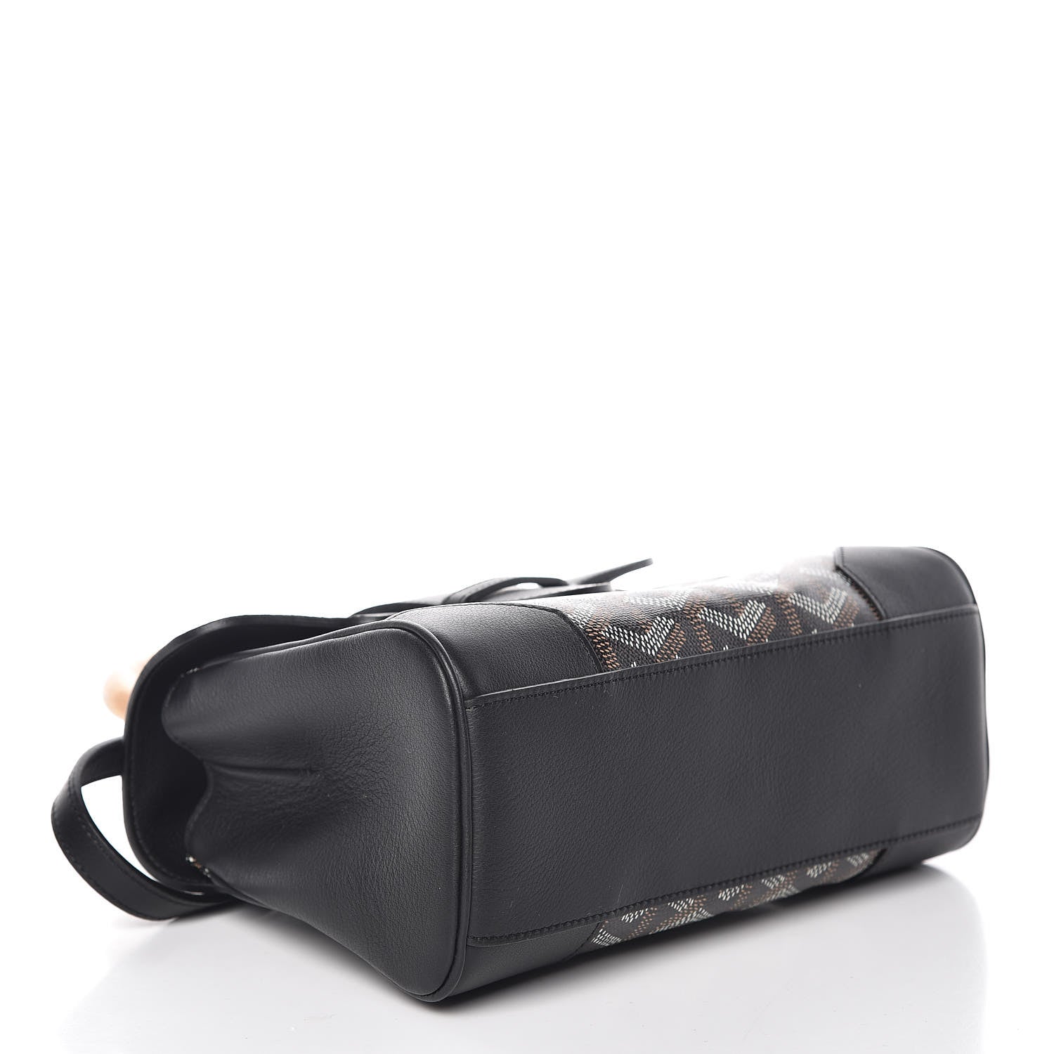 Goyard Goyardine Mini Saigon Black 4 of 12