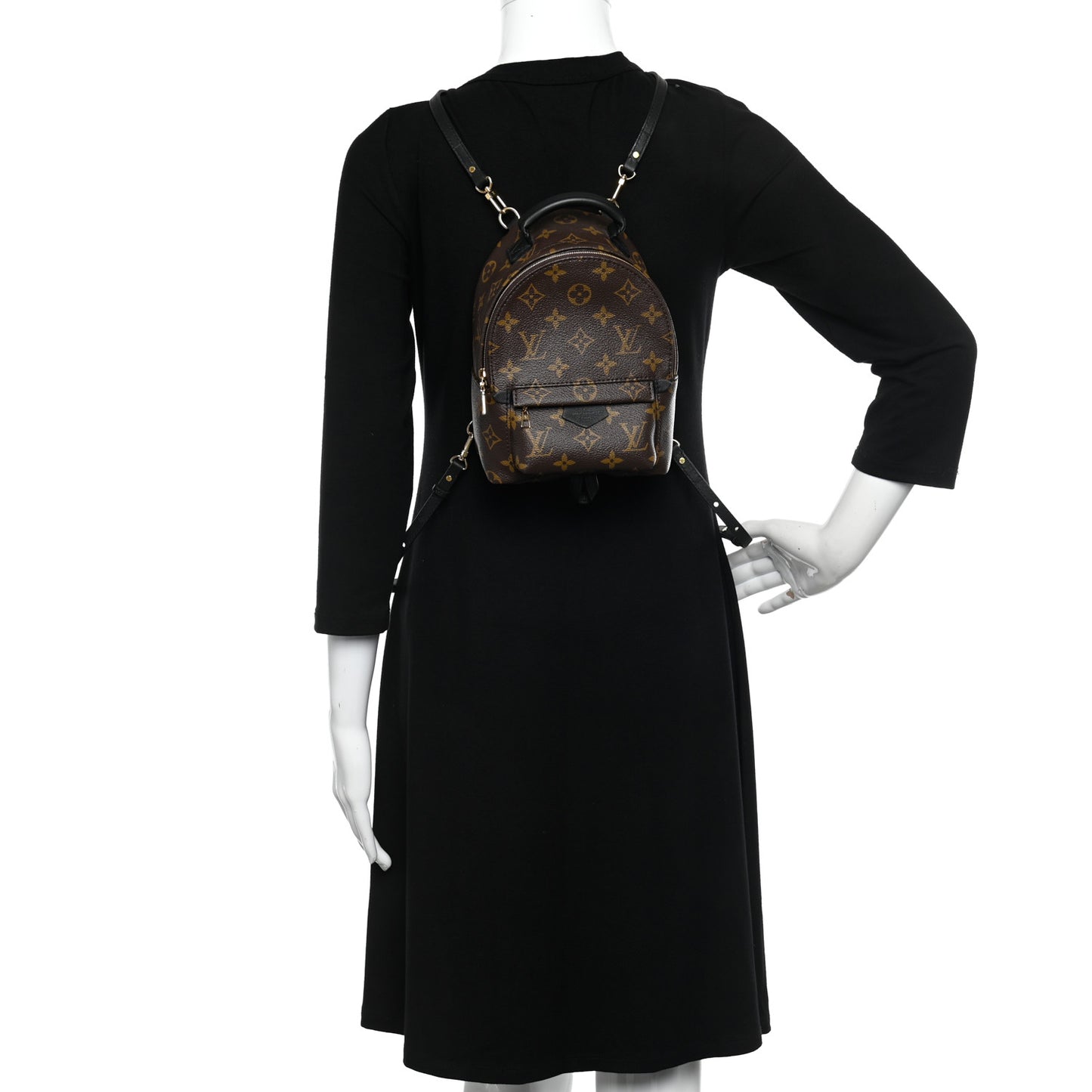 Monogram Palm Springs Backpack Mini