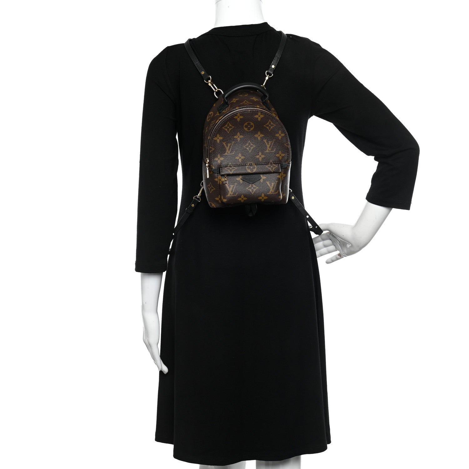 Louis Vuitton Monogram Palm Springs Backpack Mini 2 of 9
