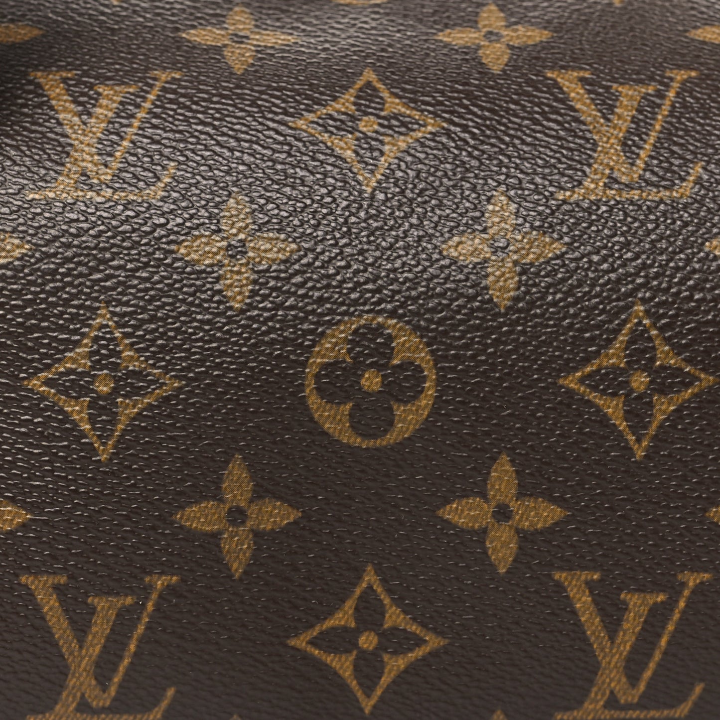 Monogram Papillon 26