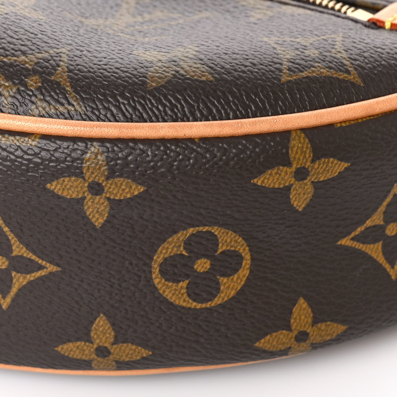 Louis Vuitton Monogram Loop 8 of 8