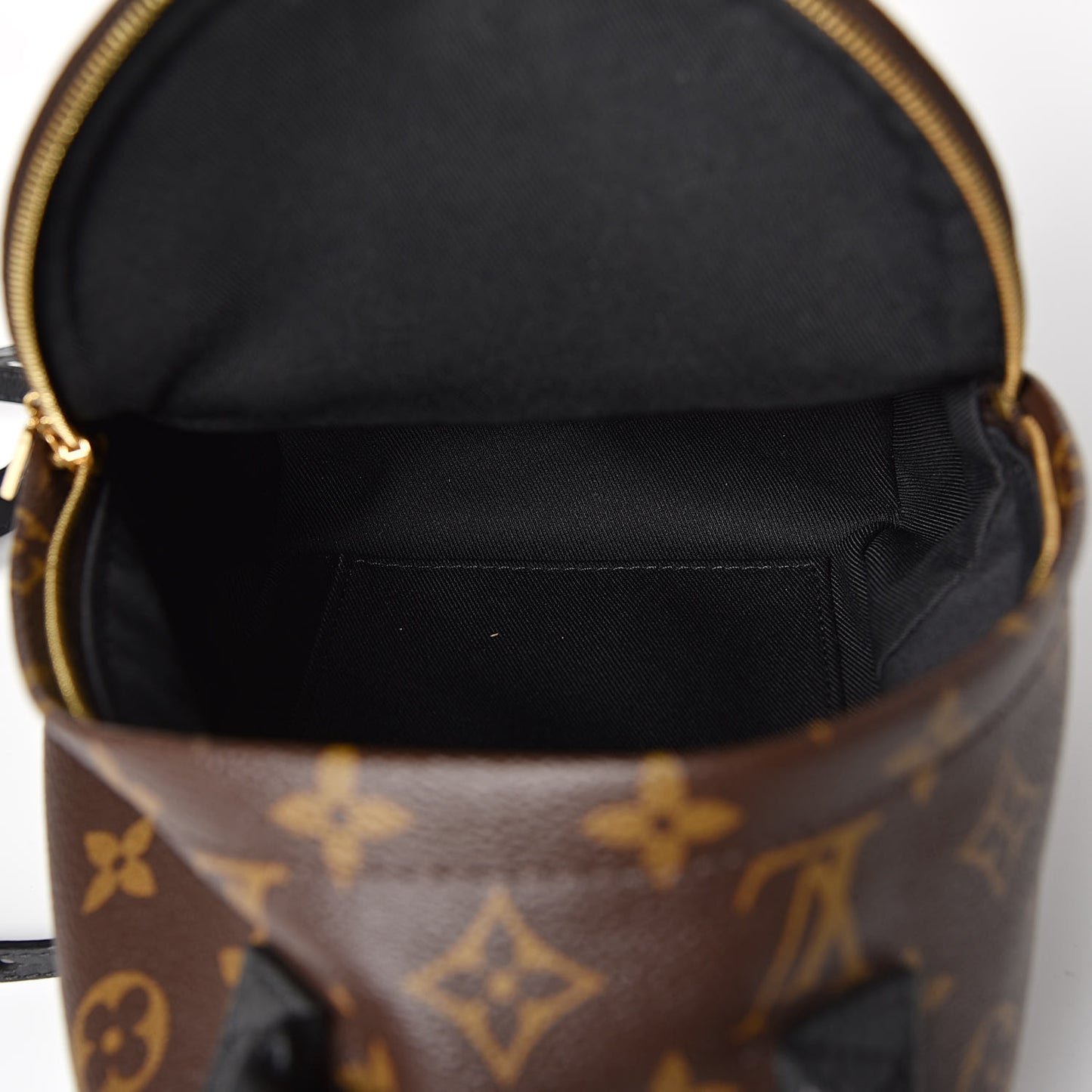Monogram Palm Springs Backpack Mini