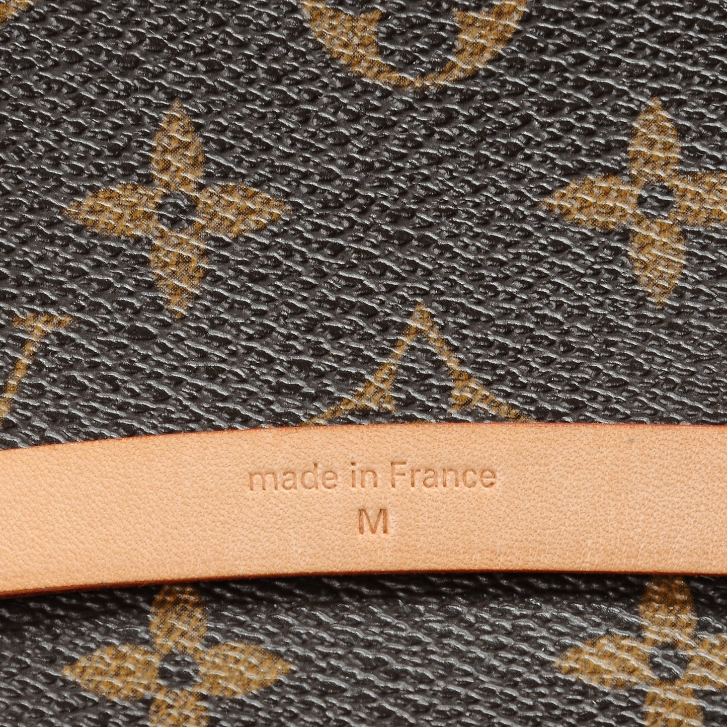 Monogram Pochette Florentine M