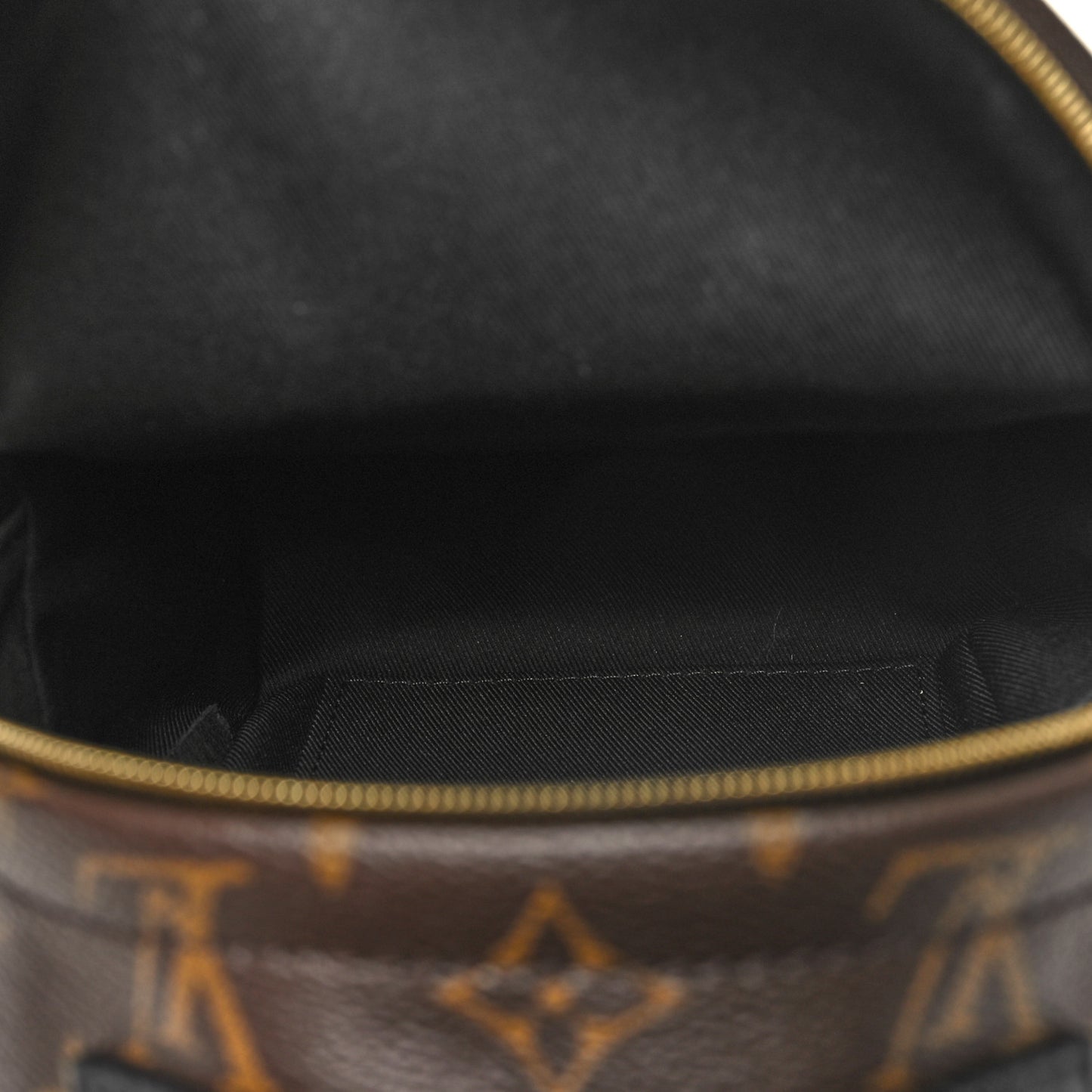 Monogram Palm Springs Backpack Mini