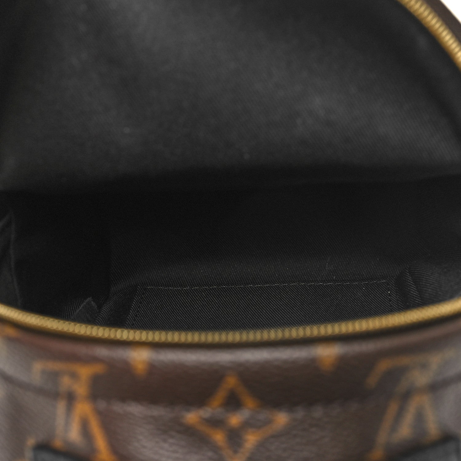 Louis Vuitton Monogram Palm Springs Backpack Mini 4 of 10