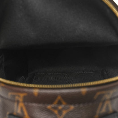 Louis Vuitton Monogram Palm Springs Backpack Mini 4 of 10