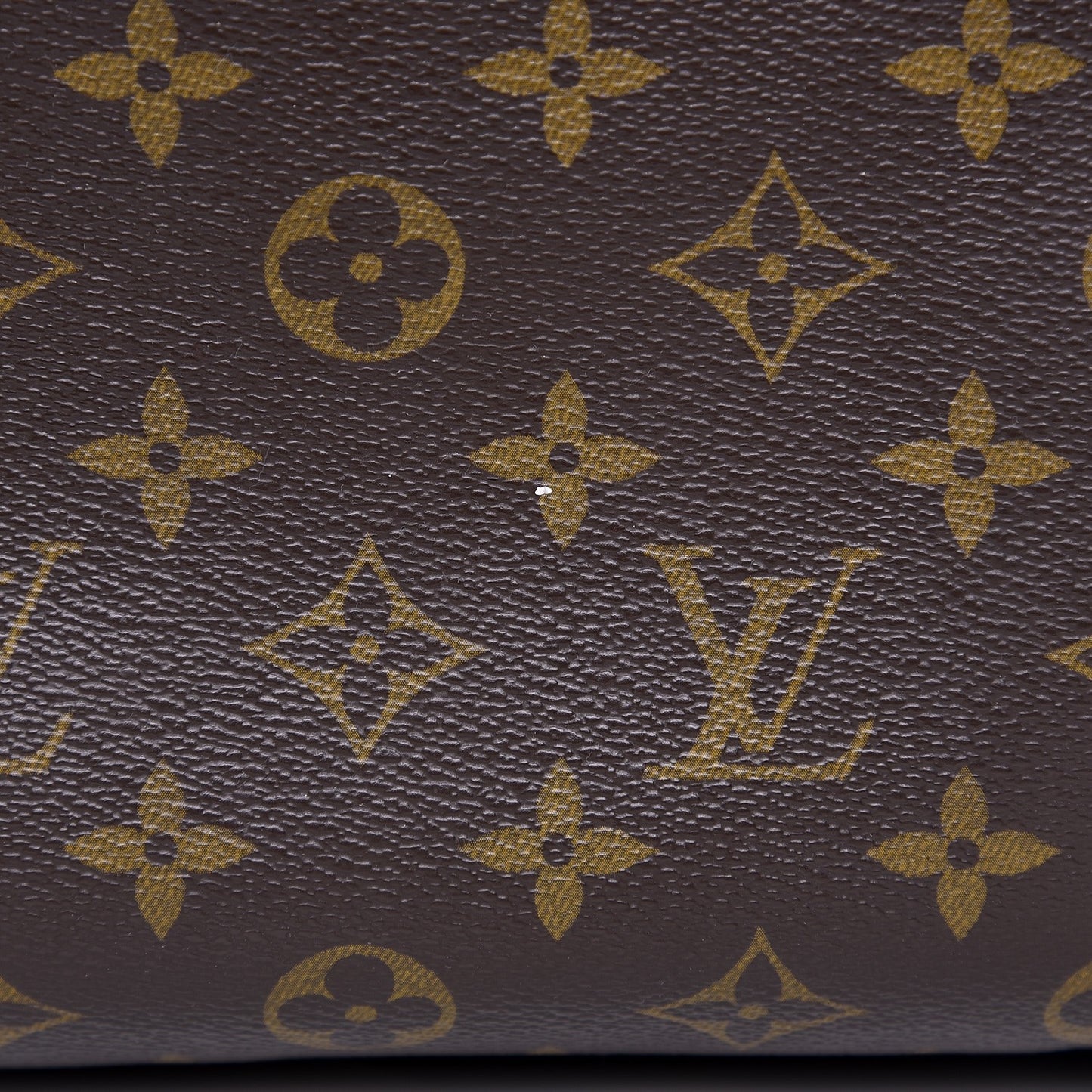 Monogram Delightful PM