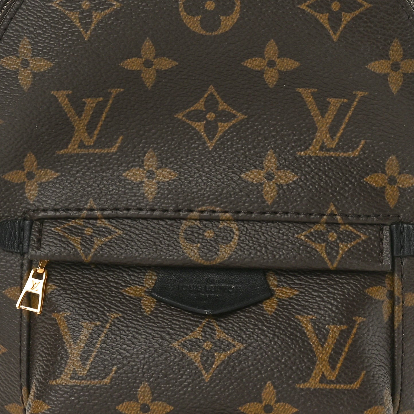 Monogram Palm Springs Backpack Mini
