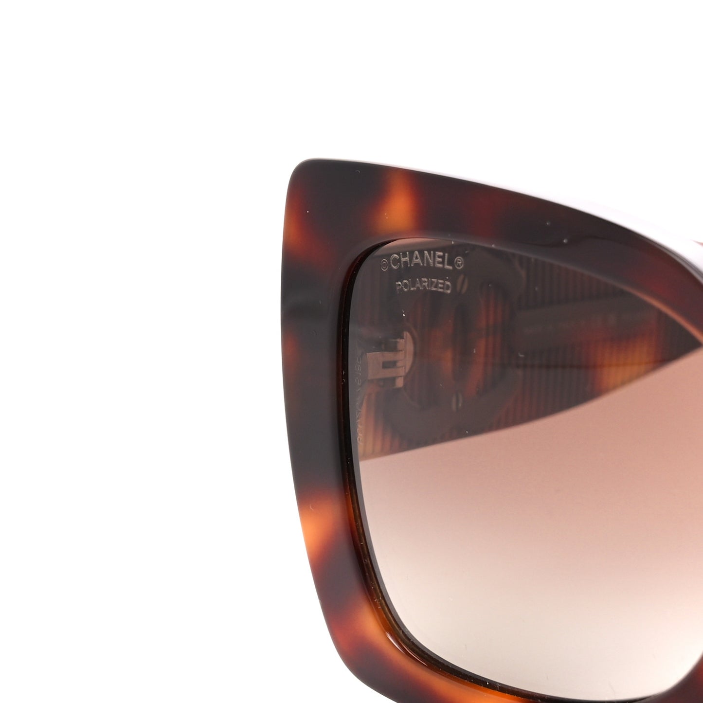 Square Polarized CC Sunglasses 5494 Tortoise Brown
