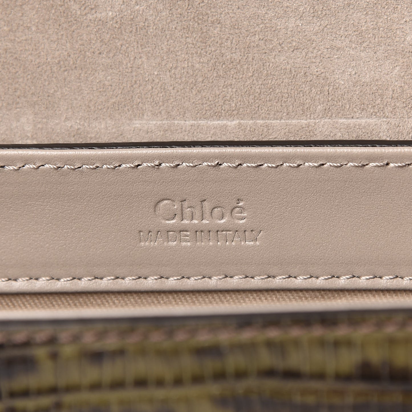 Goatskin Calfskin Lizard Embossed Mini C Double Carry Antique Green