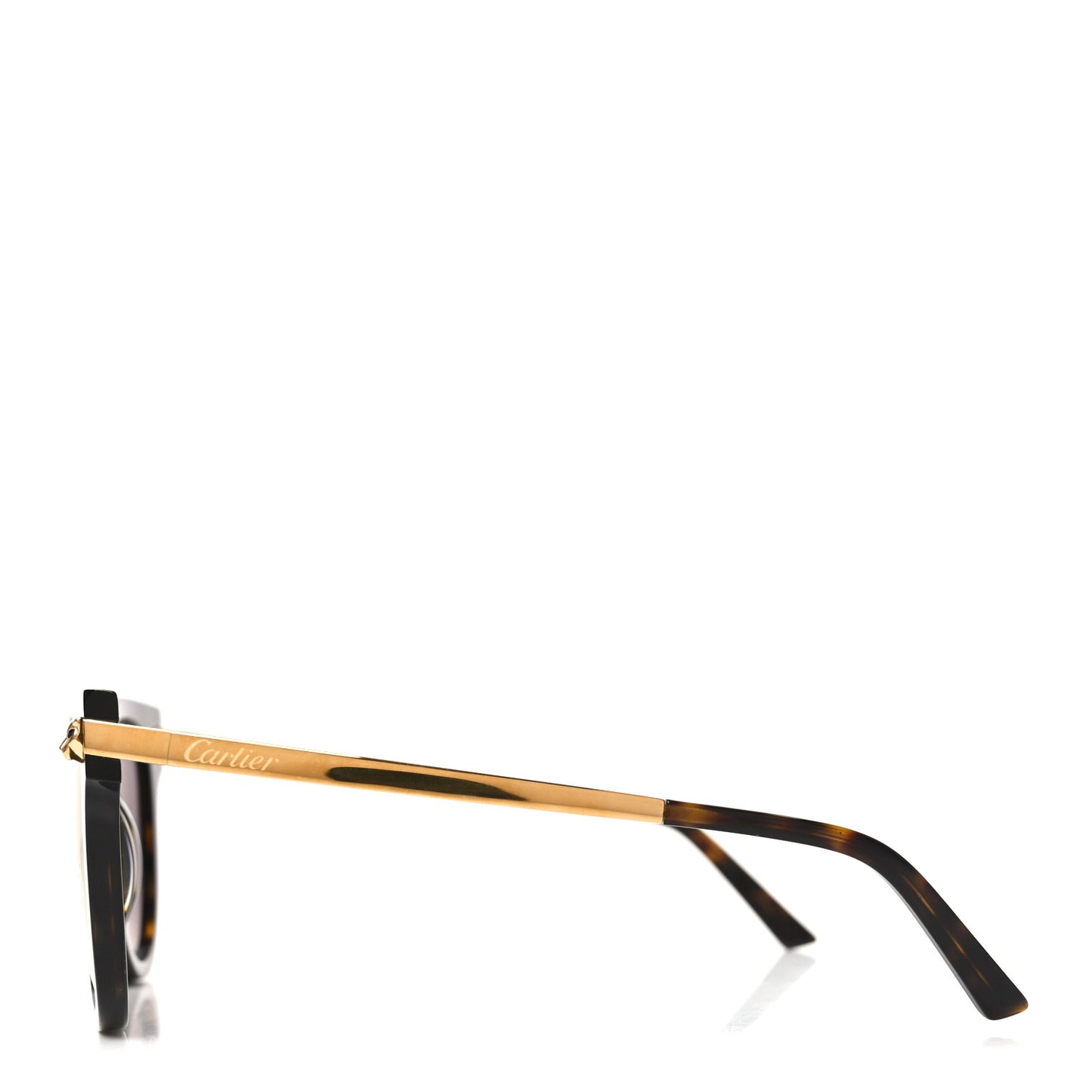 Acetate Panthere Cartier Sunglasses CT0024S Gold Dark Havana