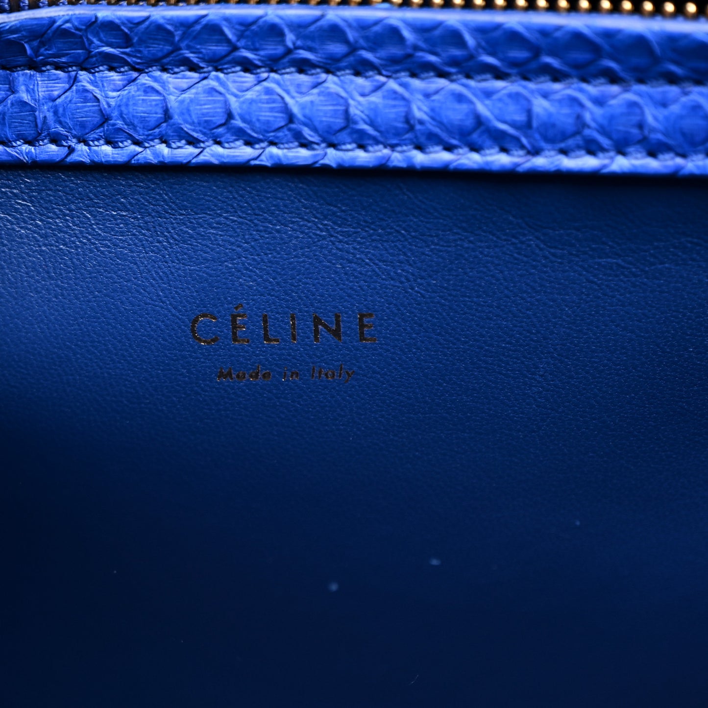 Snakeskin Medium Phantom Luggage Blue