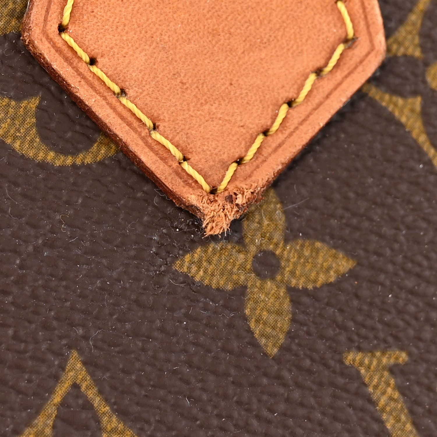 Louis Vuitton Monogram Alma PM 22 of 23