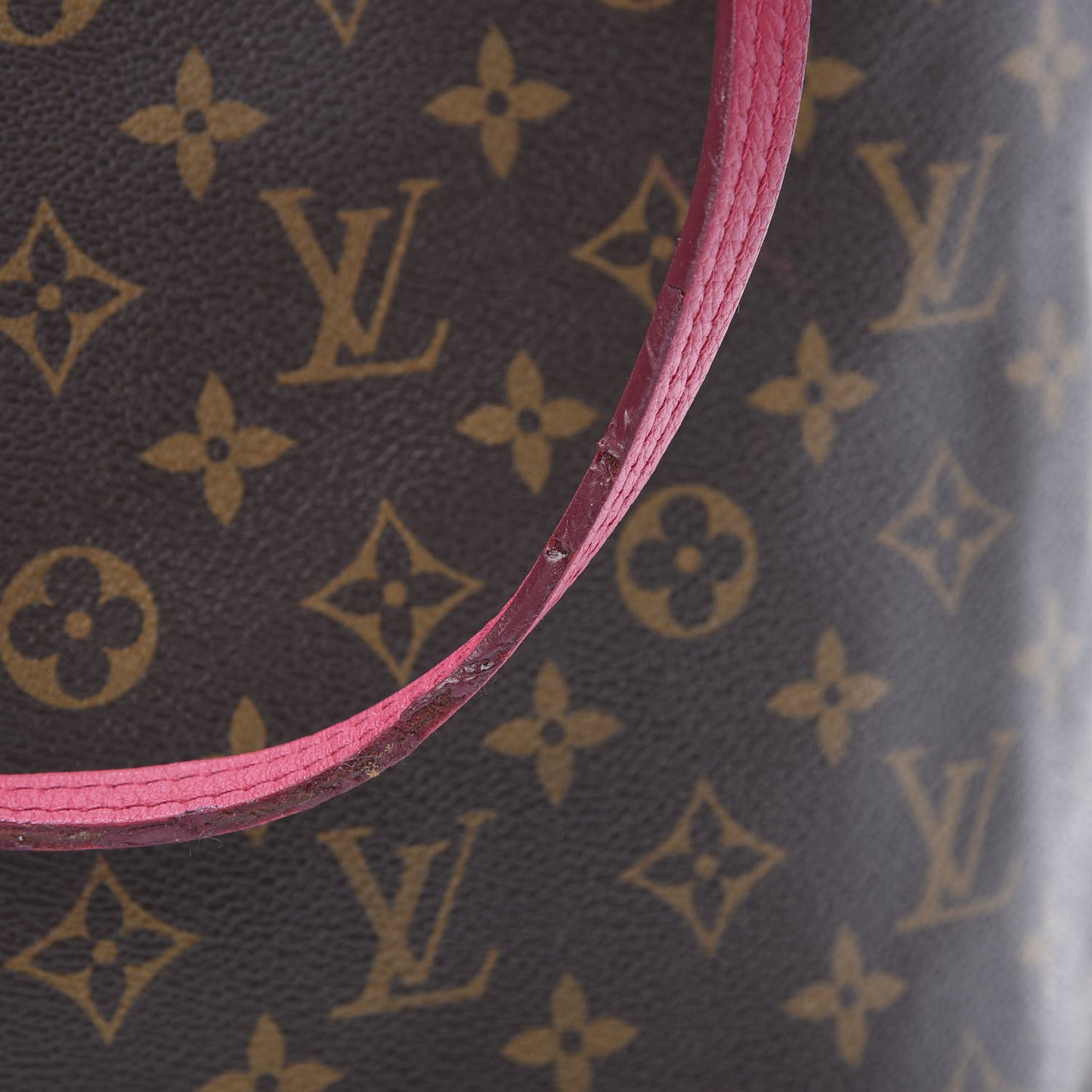 Monogram Articles de Voyage Ikat Neverfull MM Rose Indien