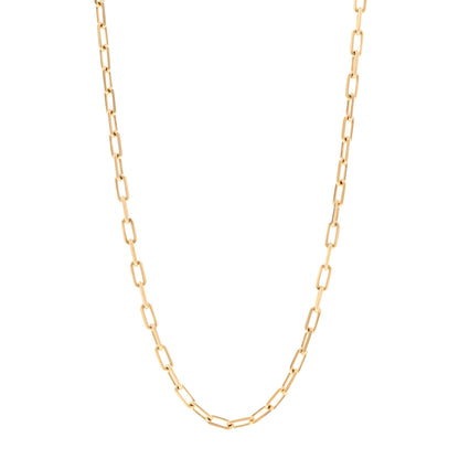 Cartier 18K Yellow Gold SM Santos De Cartier Link Necklace 1 of 5