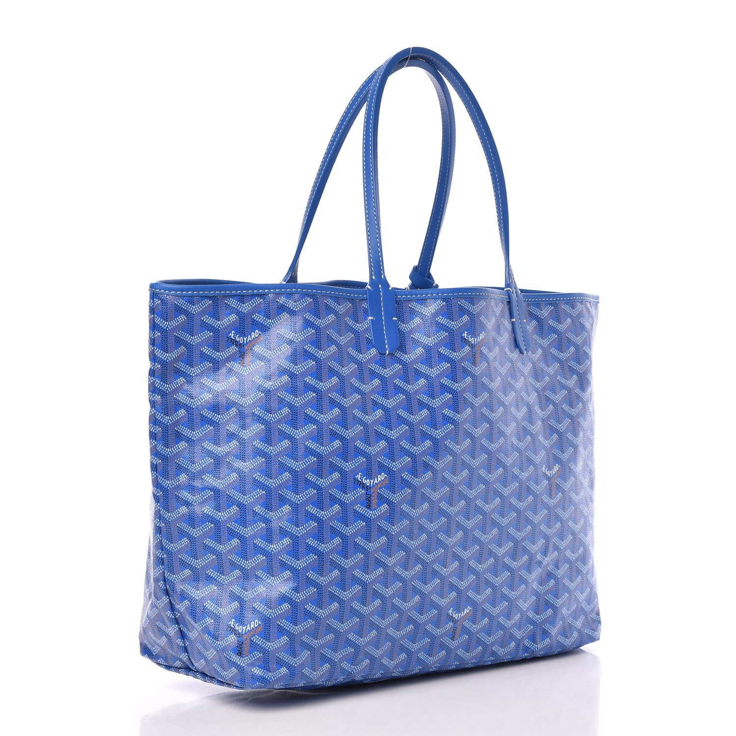 Goyard Goyardine Saint Louis PM Sky Blue 4 of 9