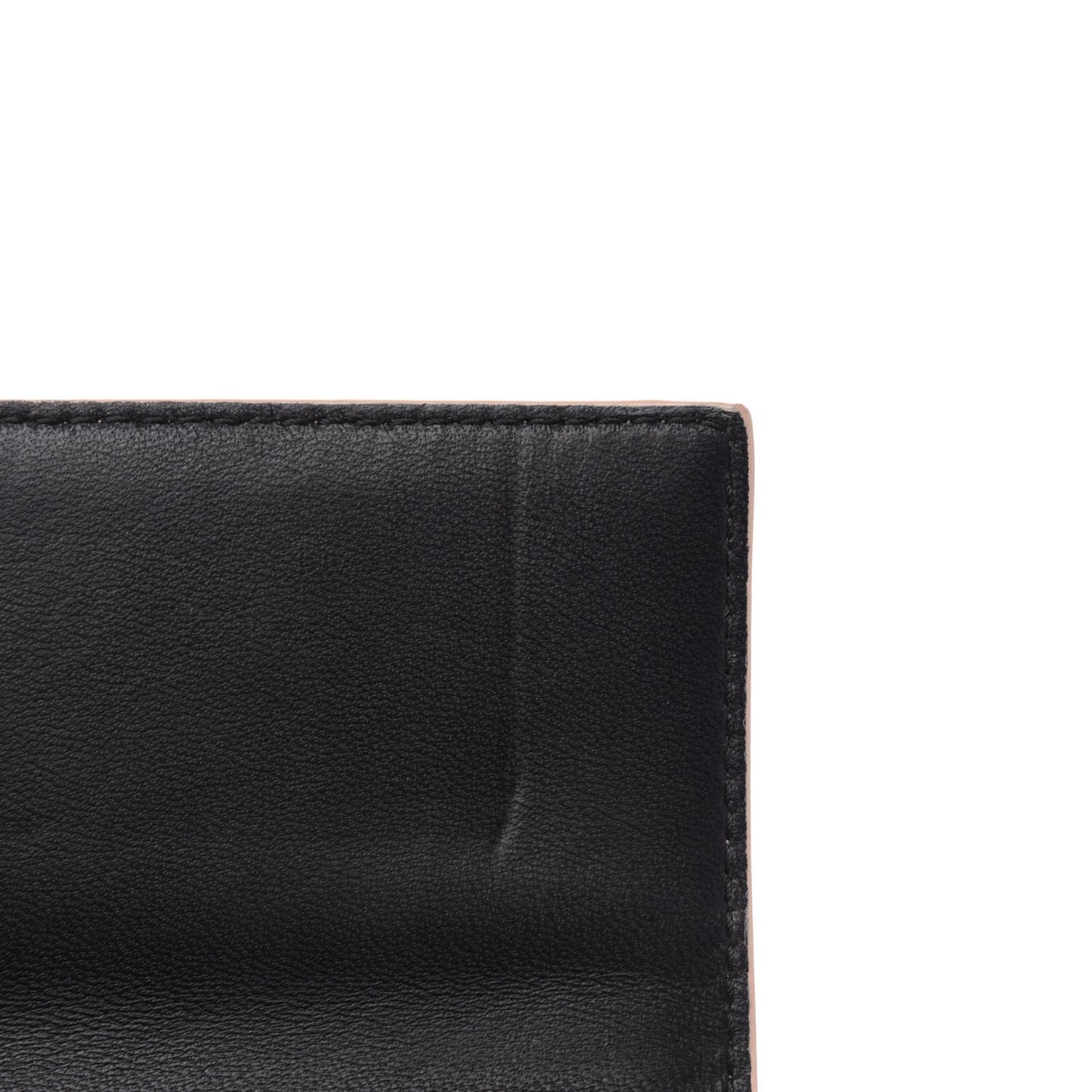 Pebbled Calfskin Skull Wallet on Chain Teint