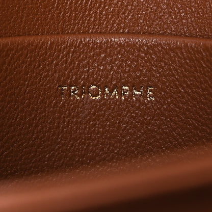 Celine Smooth Calfskin Houndstooth Teen Triomphe Tan 7 of 14