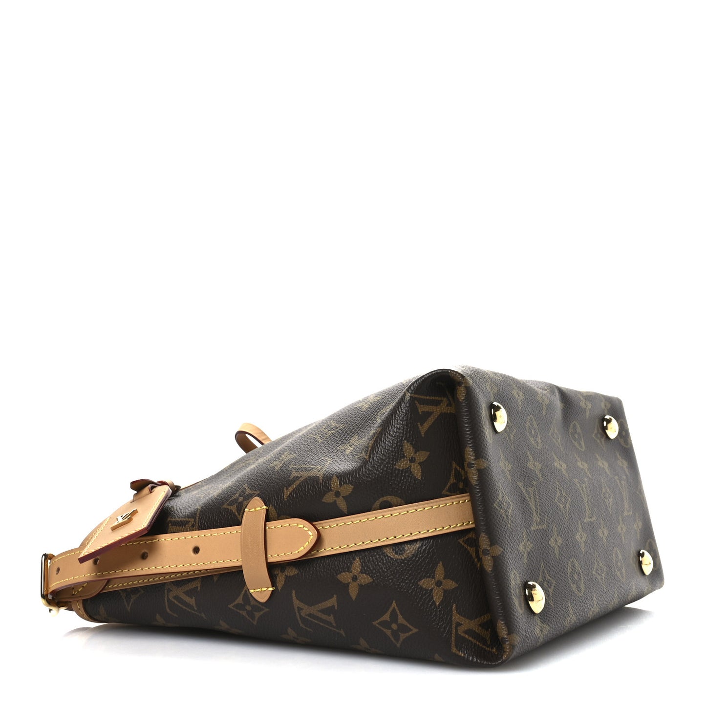 Monogram CarryAll PM