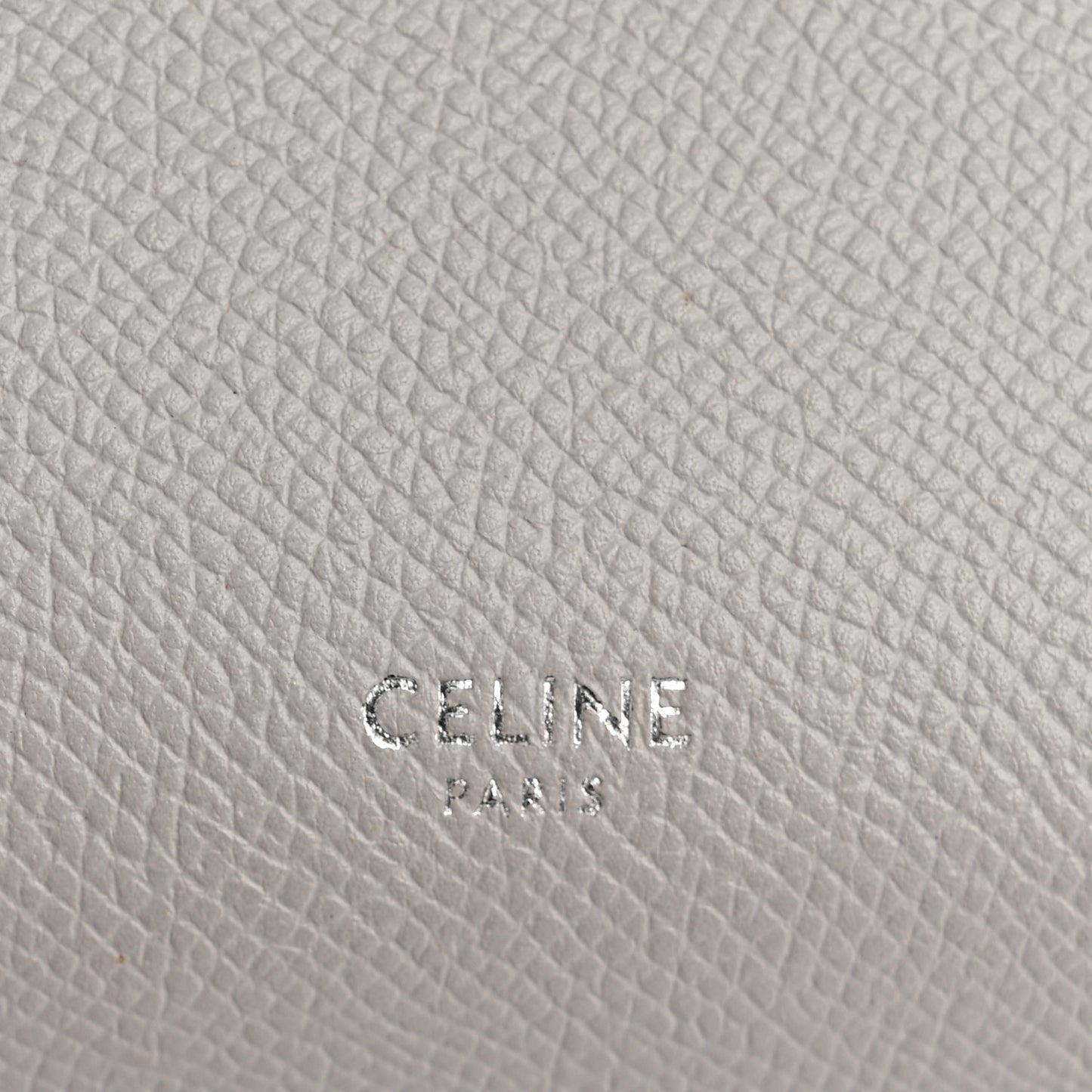 Grained Calfskin Nano Belt Bag Mineral
