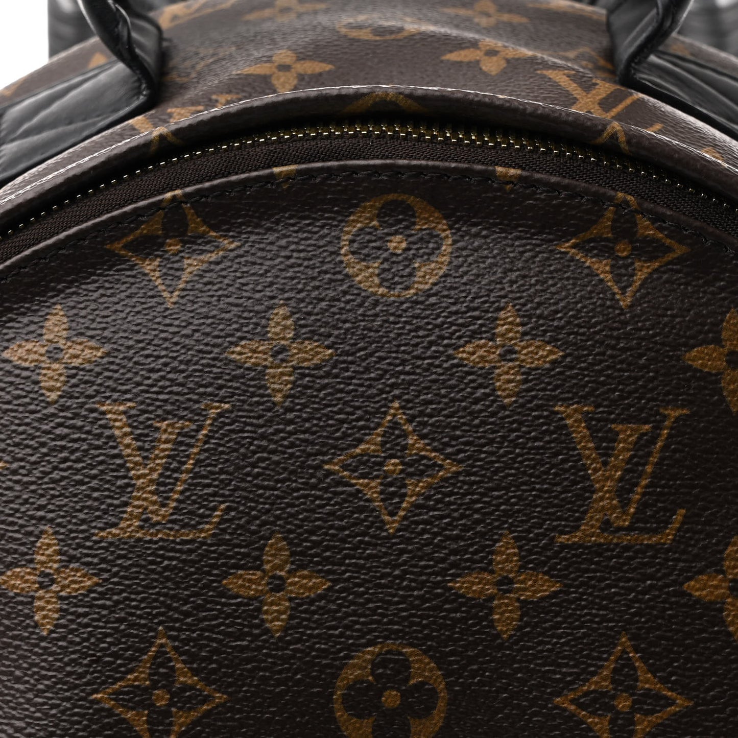 Monogram Palm Springs Backpack MM