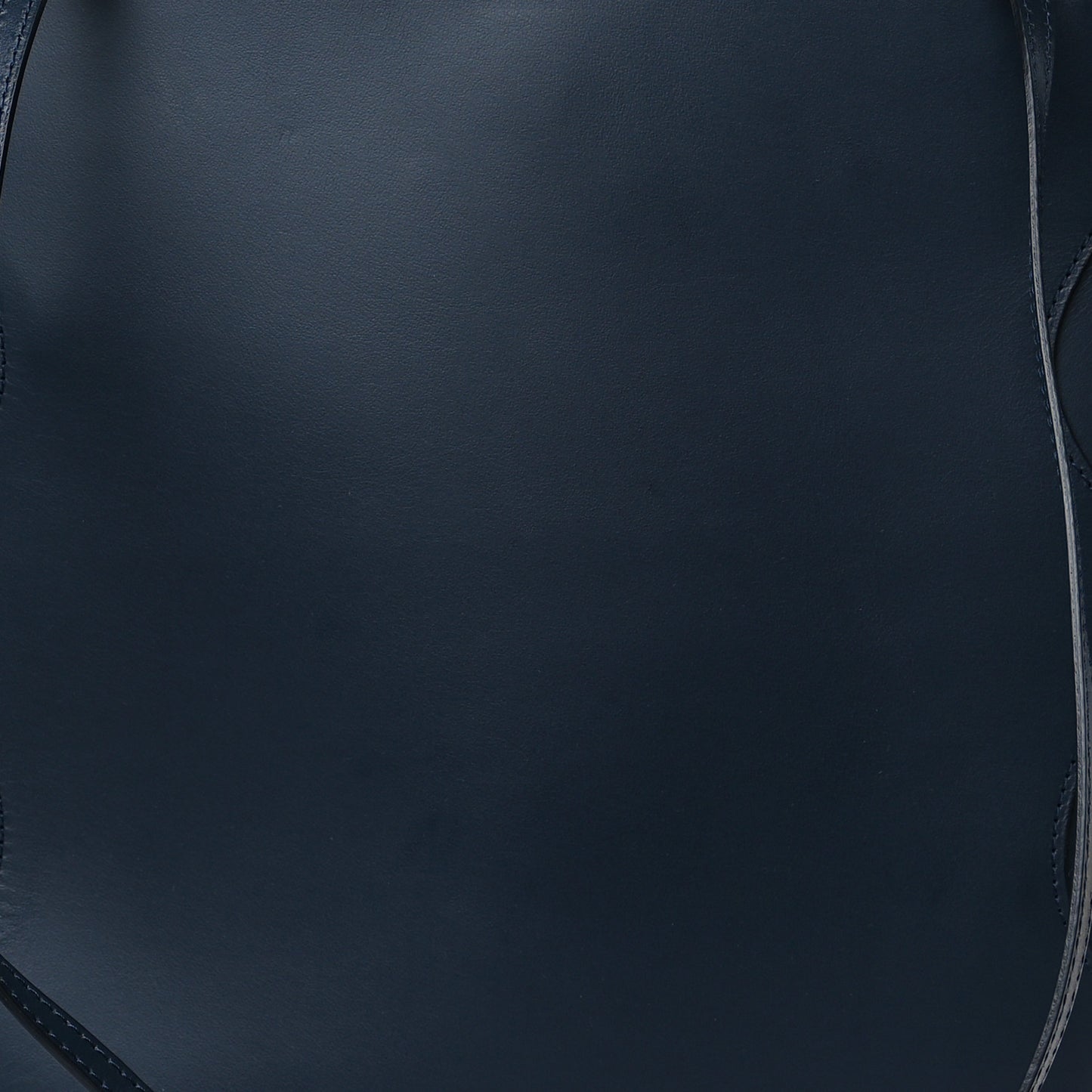 Calfskin Mini Ocean Tote Blue