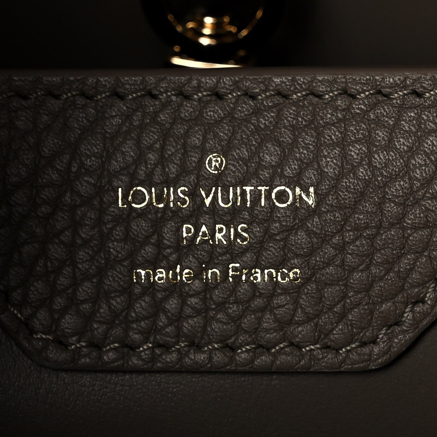 Louis Vuitton Taurillon Capucines MM Smokey Brown Green Creme Pink 5 of 8