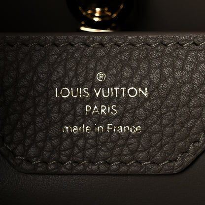 Louis Vuitton Taurillon Capucines MM Smokey Brown Green Creme Pink 5 of 8