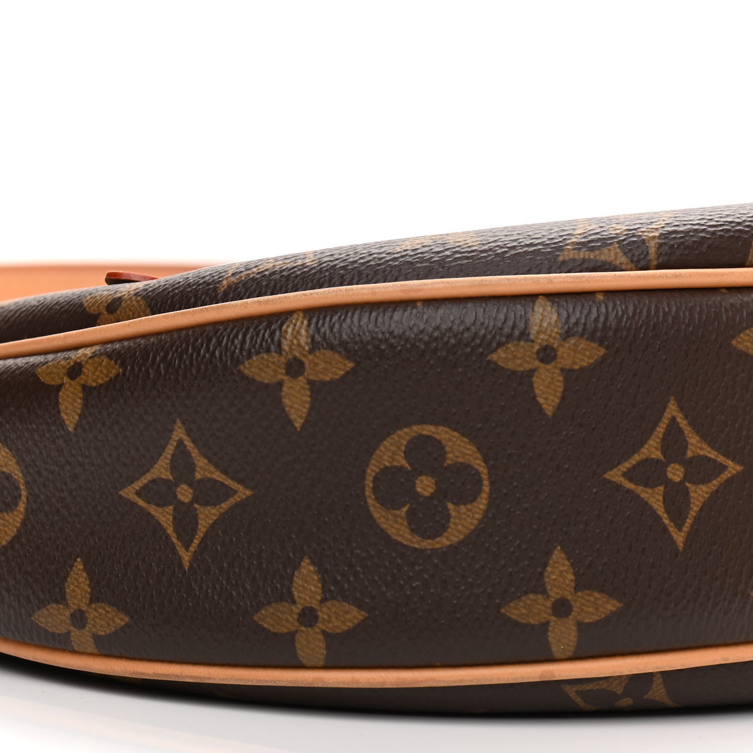 Louis Vuitton Monogram Loop 7 of 10