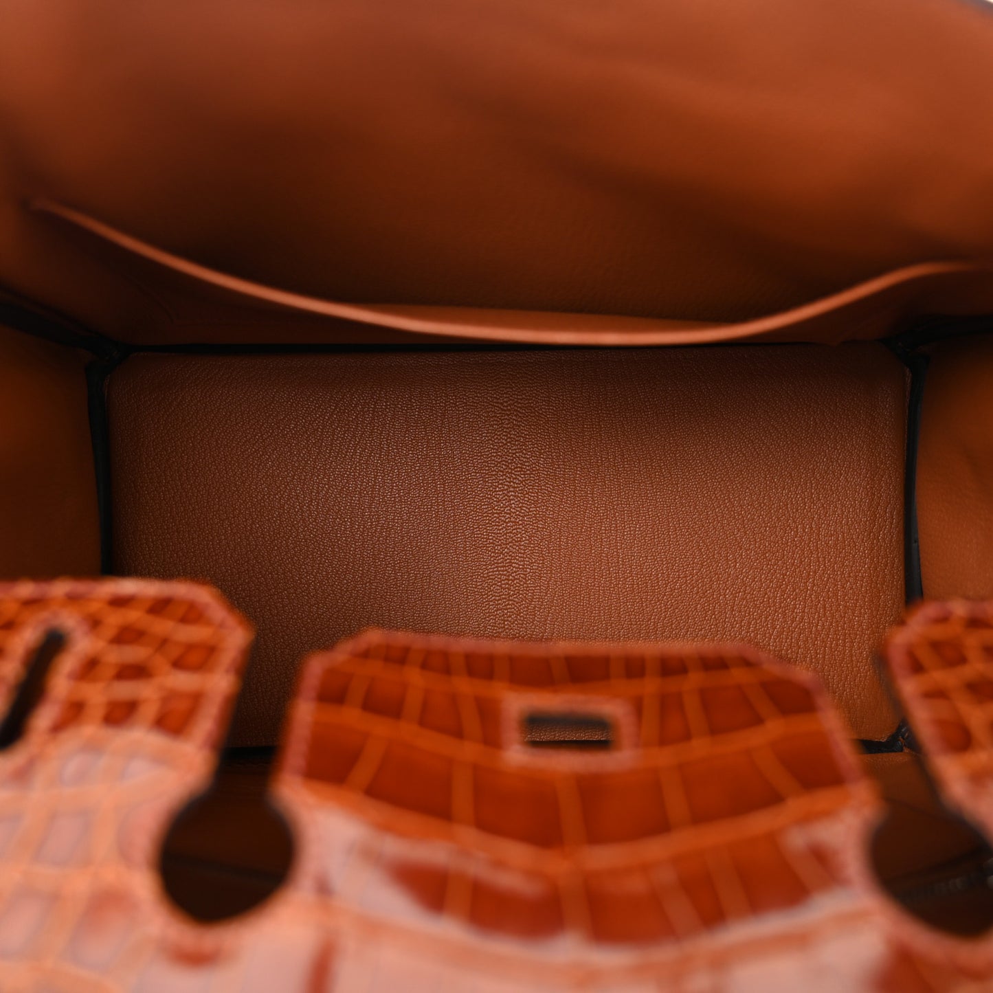 Ostrich Shiny Alligator Birkin Touch 30 Cognac Miel