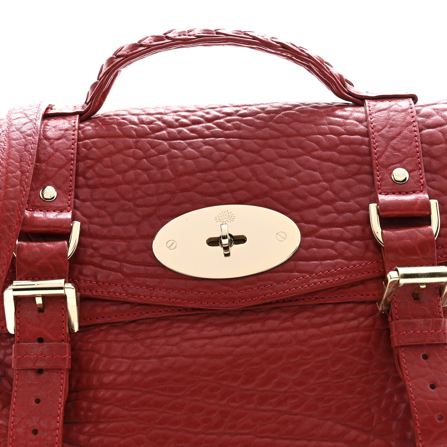 Shrunken Calfskin Medium Alexa Red
