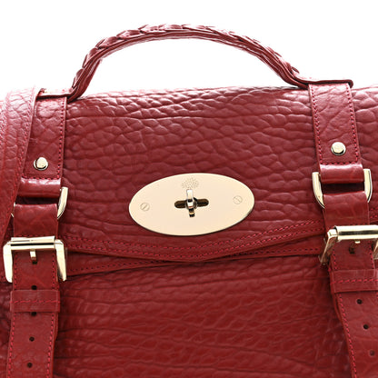 Mulberry Shrunken Calfskin Medium Alexa Red 14 of 16