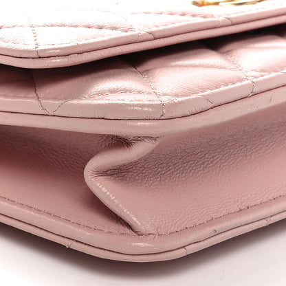 Chanel Lambskin Quilted CC Camellia Crush Wallet on Chain WOC Pink 10 of 12
