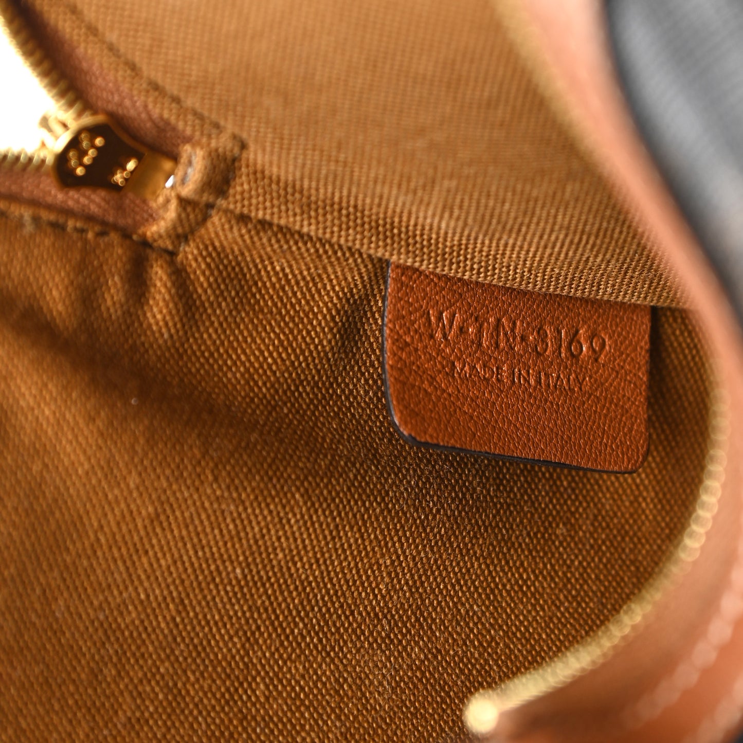 Triomphe Canvas Lambskin Small Pouch Tan