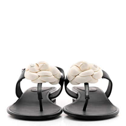 Chanel Lambskin Camellia Thong Sandals 39 Black White 2 of 11