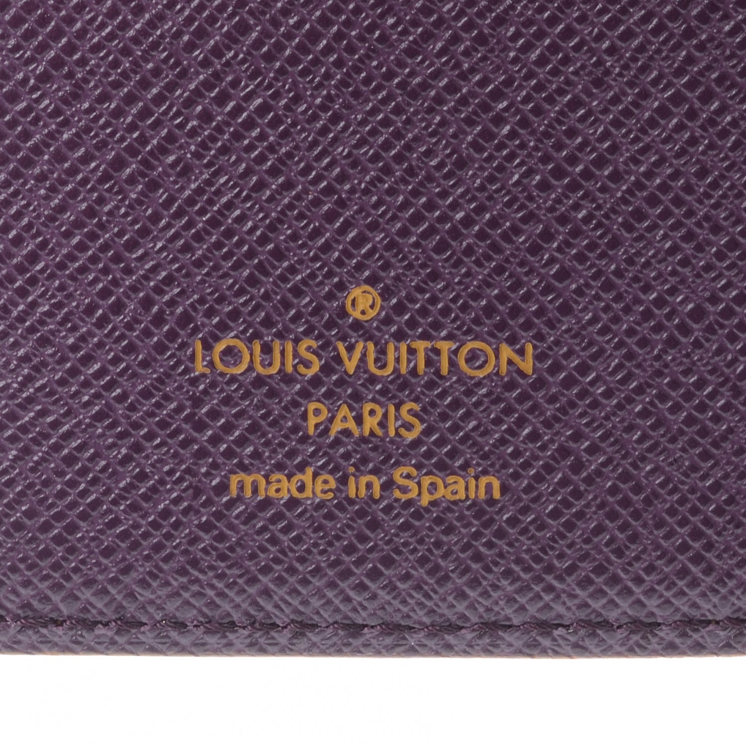 Louis Vuitton Epi Small Agenda Tassil 6 of 7