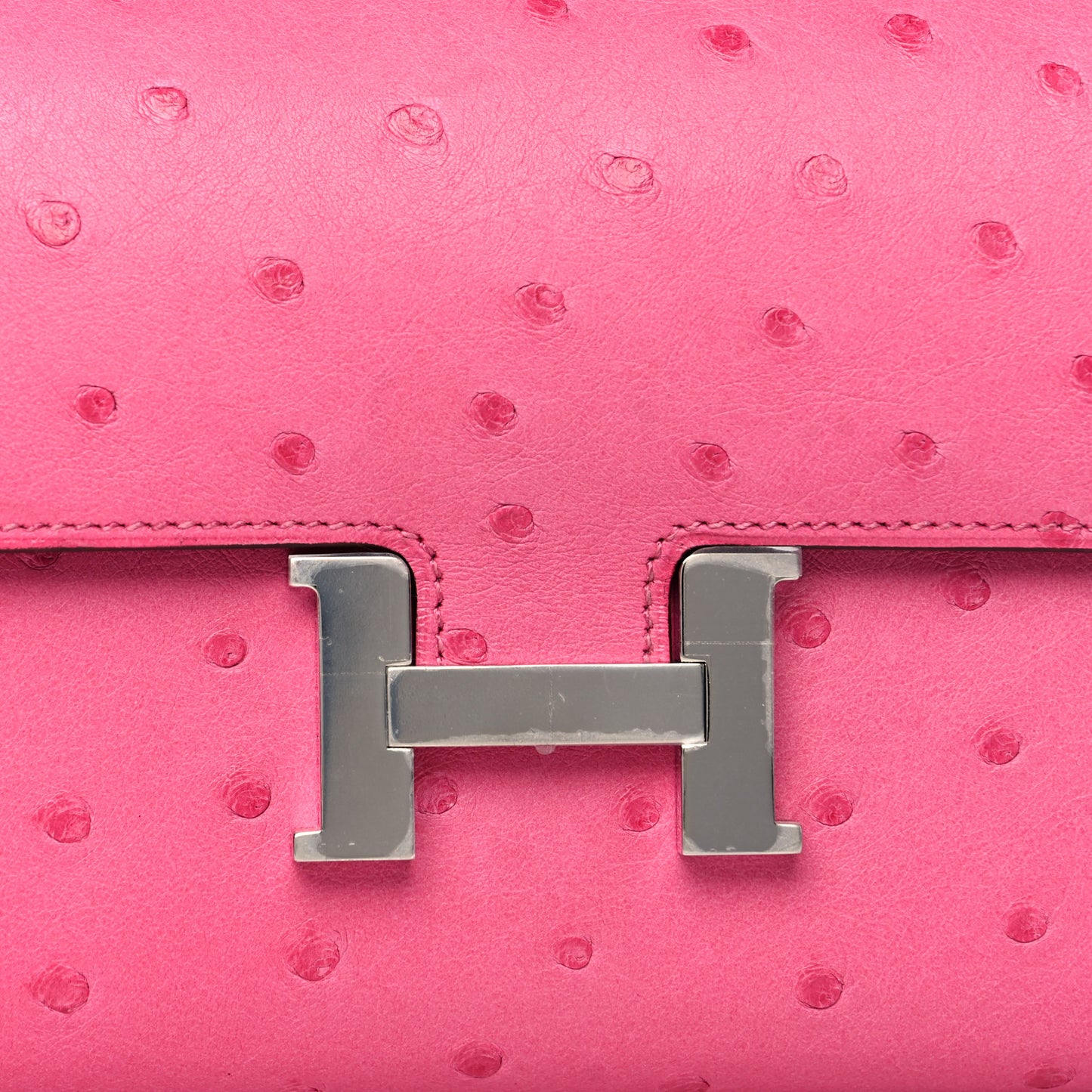 Ostrich Constance Long Wallet Rose Tyrien