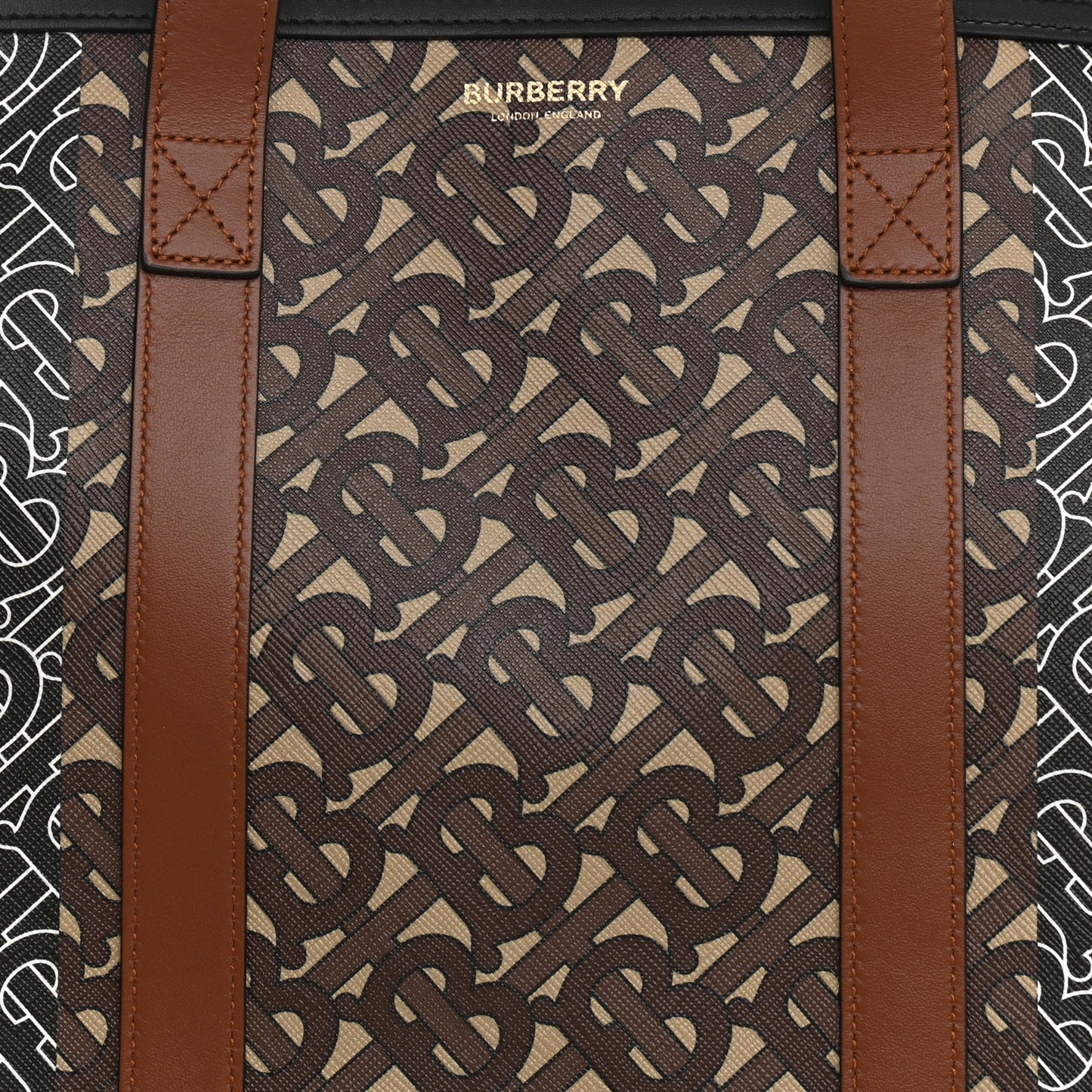 E-Canvas Monogram Stripe Book Tote Bridle Brown