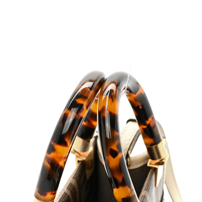 Fendi Glazed Fabric Vitello King Plexiglass FF 1974 Logo Hairdo Girls Inlay Mini Fendi Sunshine Shopper Tote Mogano Panna Multicolor 15 of 15