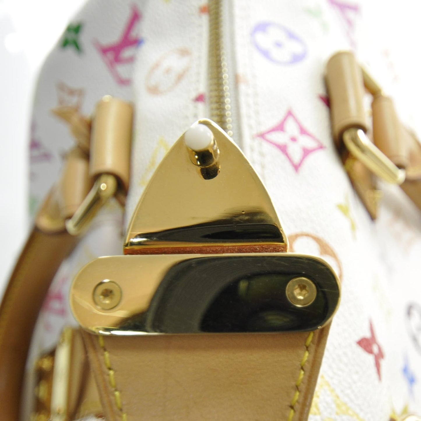 Monogram Multicolor Speedy 30 White