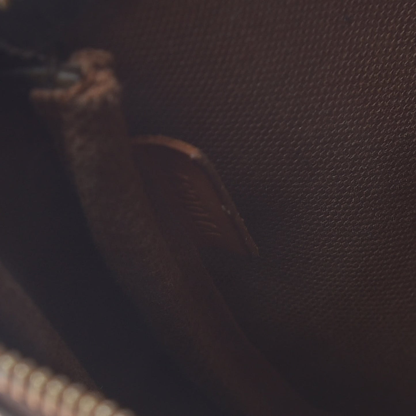Monogram Pochette Accessories