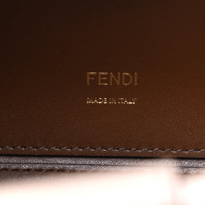 Fendi Vitello Liberty Plexiglass Stamp Patch Perforated Small Runaway Shopper Tote Nuvola 7 of 9