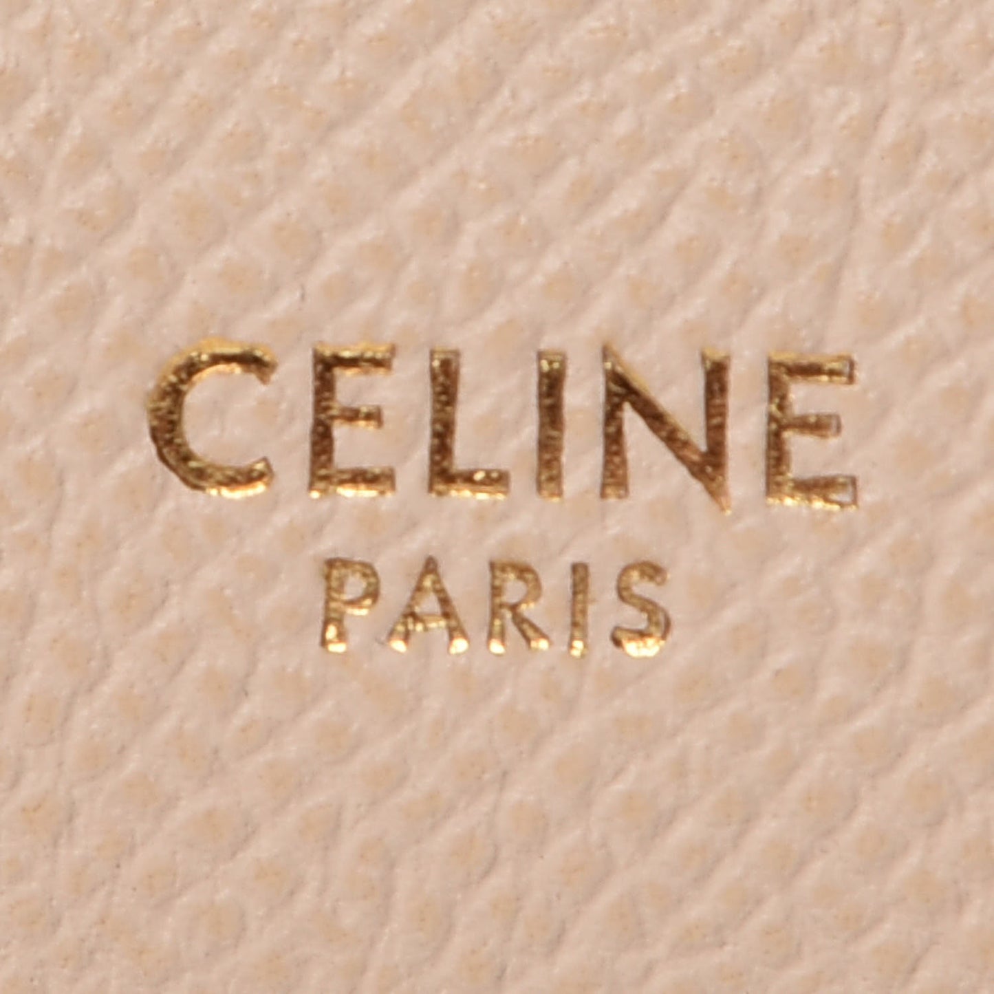 Grained Calfskin Nano Belt Bag Taupe
