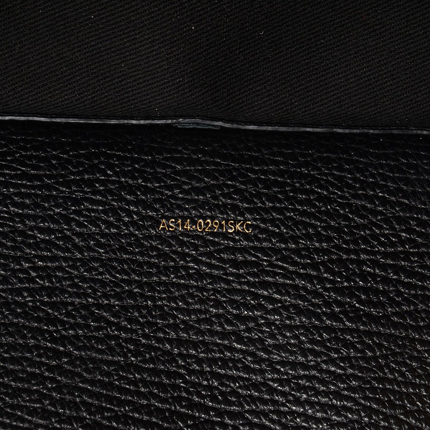 3.1 Pashli Backpack Black