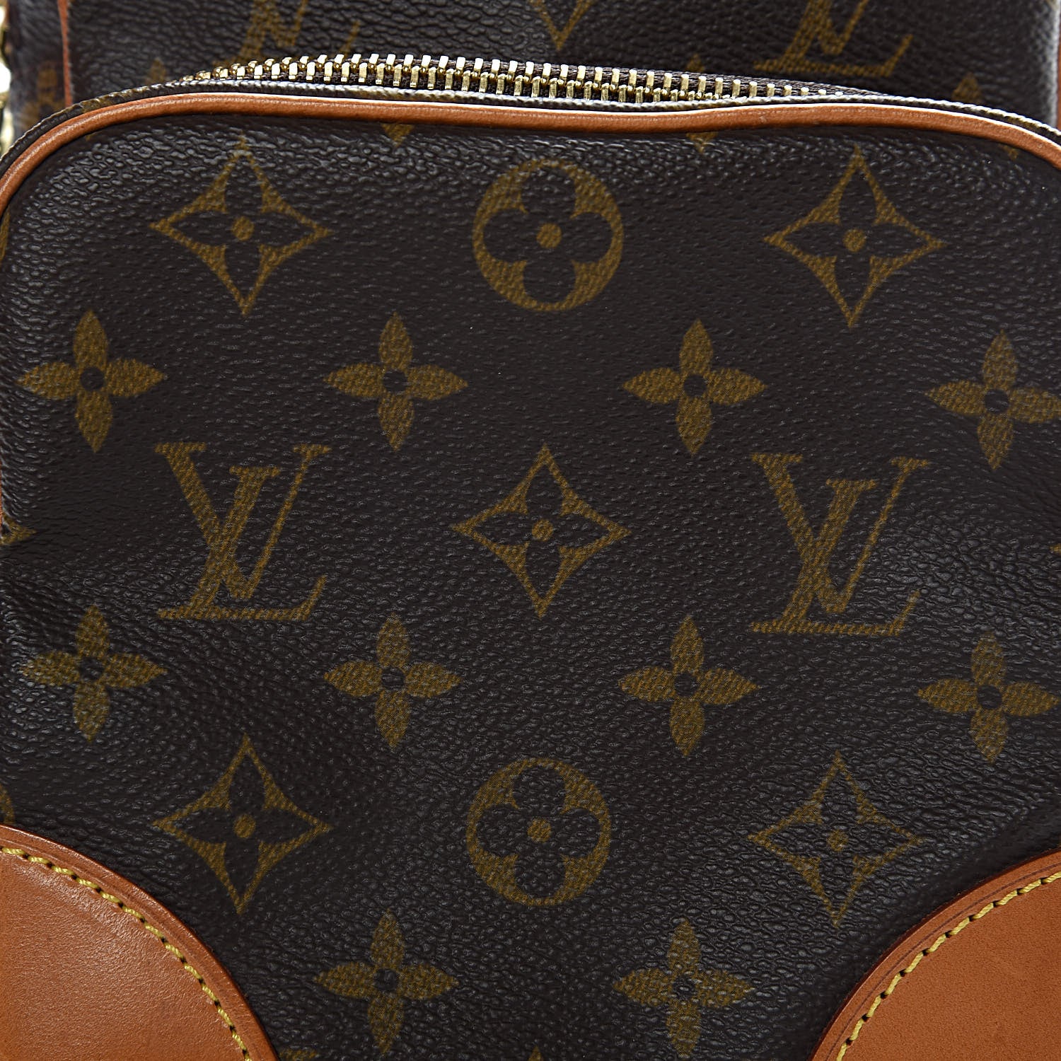 Louis Vuitton Monogram Amazone 12 of 12